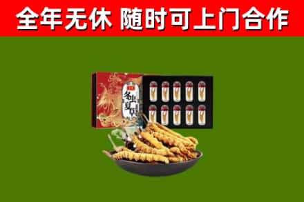 白云烟酒回收冬虫夏草礼盒.jpg