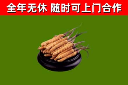 白云烟酒回收冬虫夏草.jpg